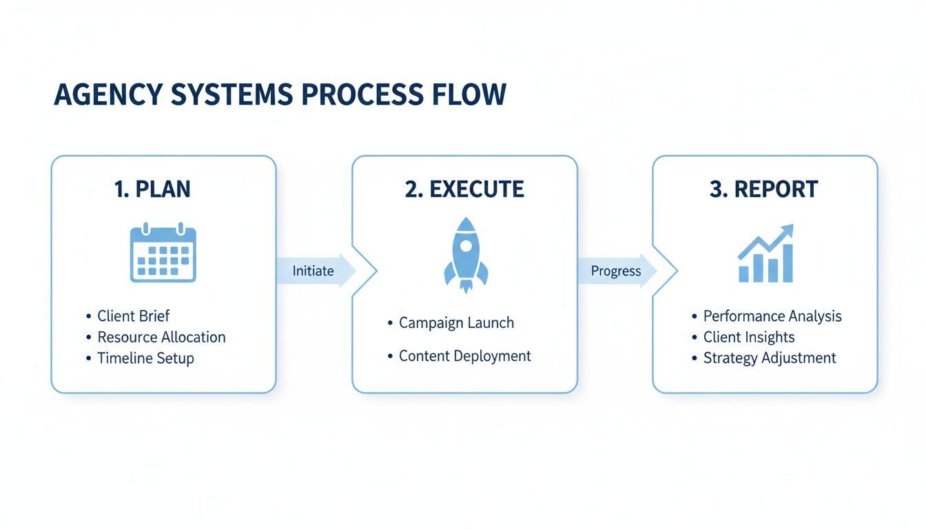 A clear agency systems process flow diagram, illustrating the plan, execute, and report phases of project management.