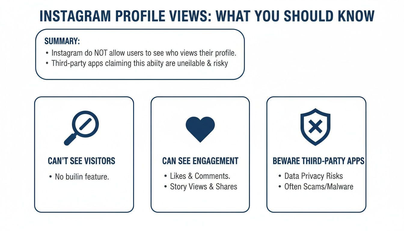 Infographic explaining Instagram profile views, stating inability to see visitors, ability to see engagement, and warning against third-party apps.