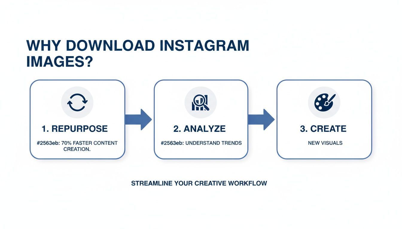 Flowchart explaining why to download Instagram images: repurpose, analyze trends, and create new visuals.