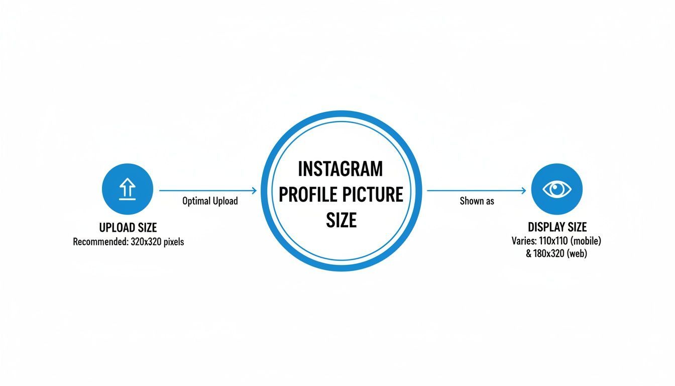Infographic detailing Instagram profile picture upload and display sizes for mobile and web.